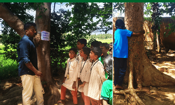 Isha Vidhya Article | Nature Lessons Blog