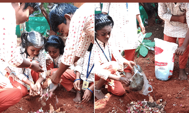 Isha Vidhya Article | Nature Lessons Blog
