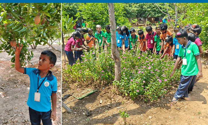 Isha Vidhya Article | Nature Lessons Blog