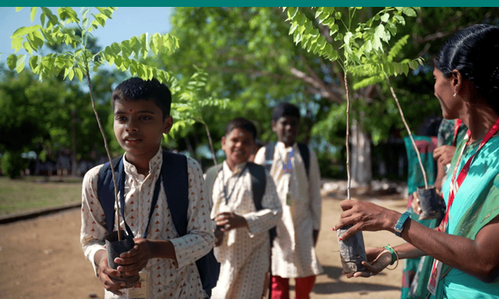 Isha Vidhya Article | Nature Lessons Blog