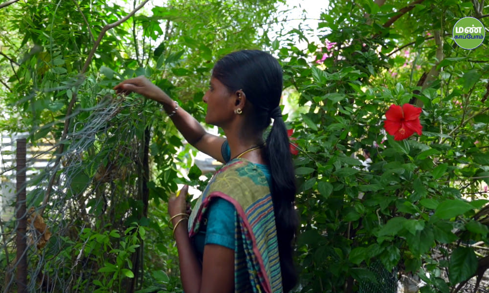Vithaitheevu Priyaraj Narayanan