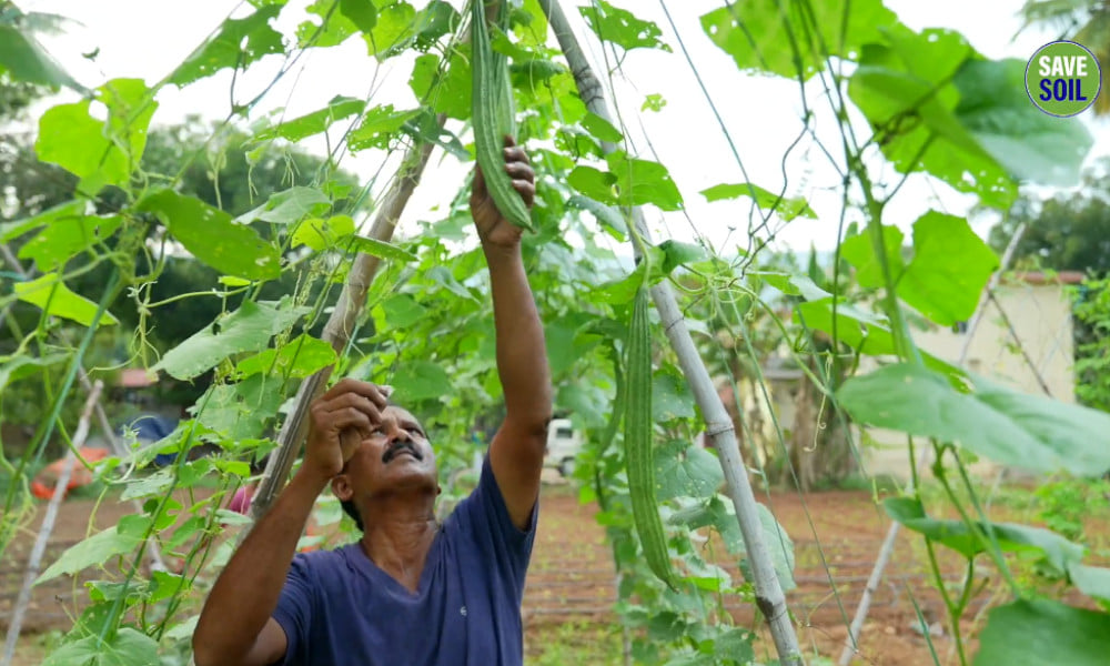Farmer Shyamala Gunasekaran | Transforming Agriculture through Value Addition: A Success Story from Moolakkadu Farmer Shyamala Gunasekaran | Transforming Agriculture through Value Addition: A Success Story from Moolakkadu